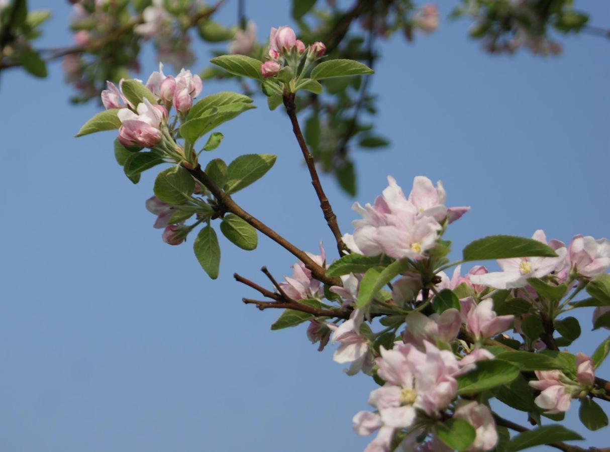 Op D'N Stolberg Bed & Breakfast Weert Luaran gambar