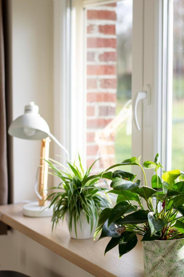 Op D'N Stolberg Bed & Breakfast Weert Luaran gambar