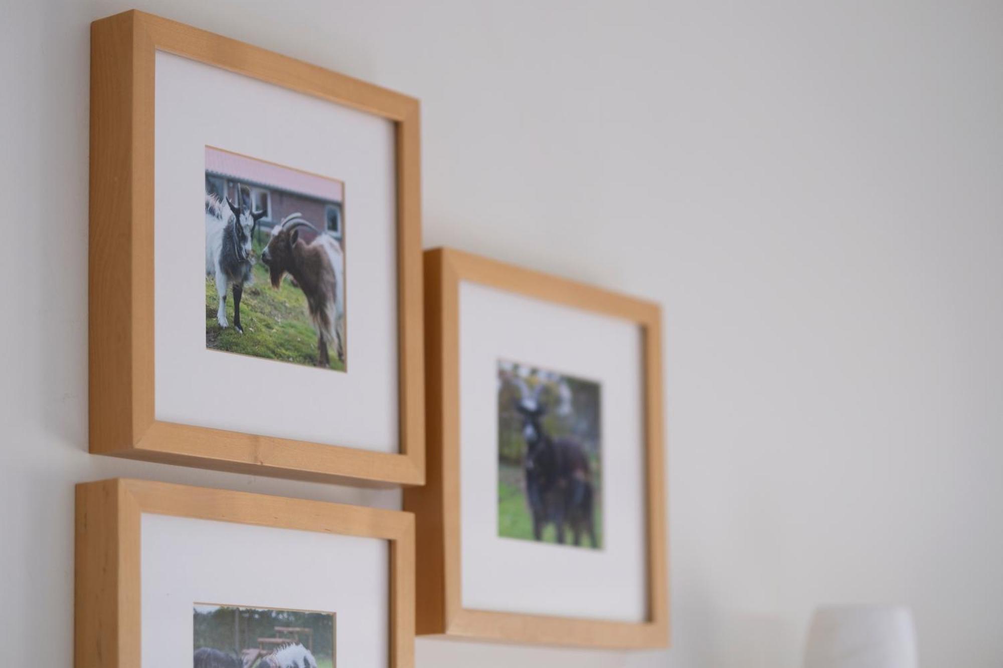 Op D'N Stolberg Bed & Breakfast Weert Luaran gambar